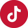 TikTok Coin Flakes